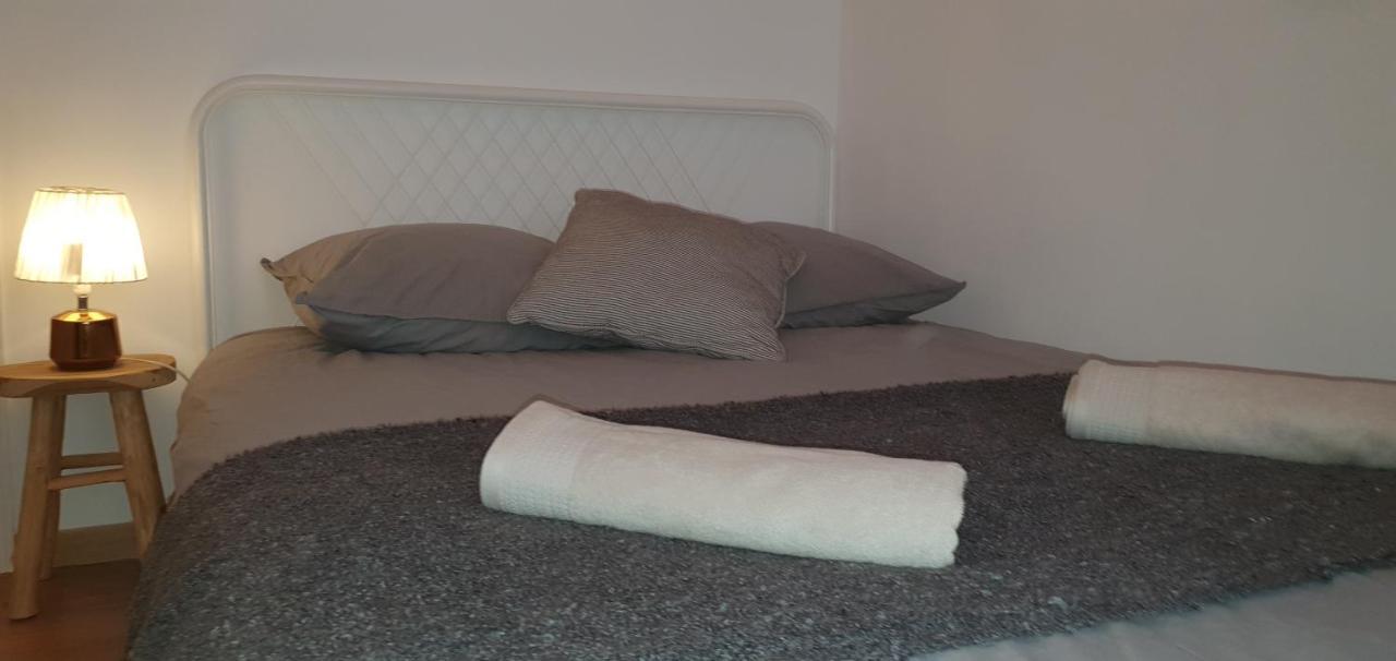 Santocha : Appartement En Plein Coeur De Ville ! 카르카손 외부 사진