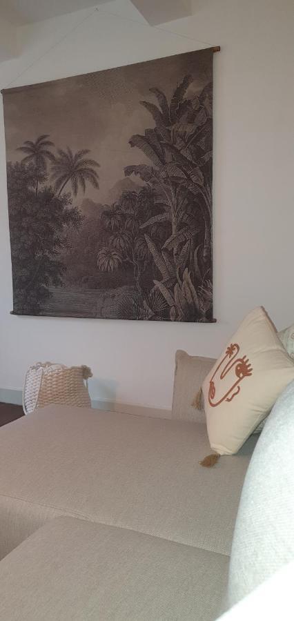 Santocha : Appartement En Plein Coeur De Ville ! 카르카손 외부 사진